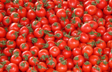 Sagra te lu pommitoru schiattarisciatu