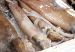 Sagra del pesce
