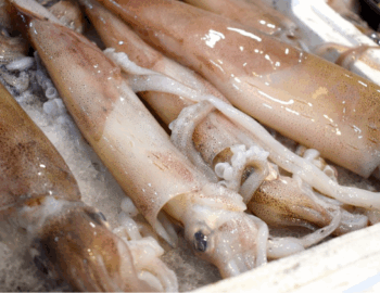 Sagra del pesce