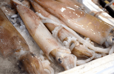 Sagra del pesce