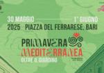 Primavera Mediterranea