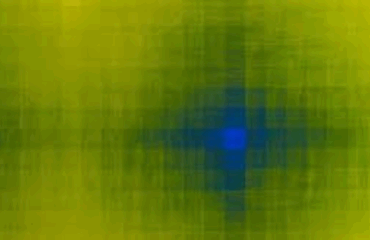 Peter Schuyff. Available light / Luce disponibile