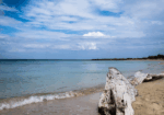 Torre Guaceto