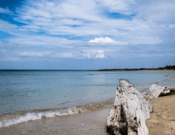 Torre Guaceto