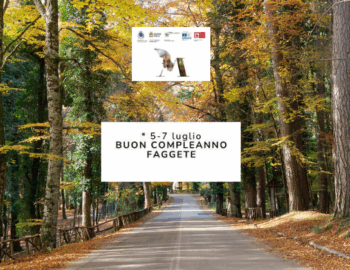 Buon compleanno faggete UNESCO