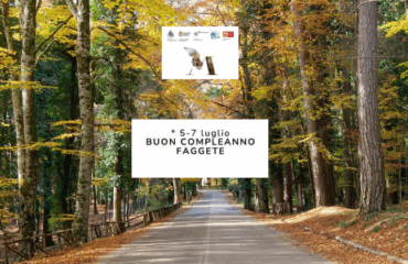 Buon compleanno faggete UNESCO