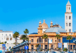 Bari