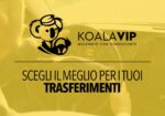 Koala Vip