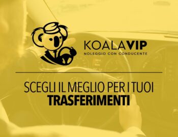 Koala Vip