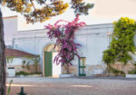 Villa Ceci Dimora di Storie