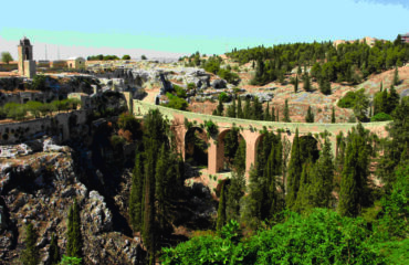 Parco dell’Alta Murgia