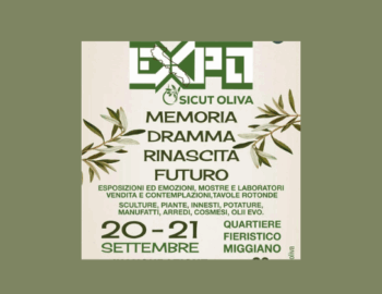 Expo Sicut Oliva