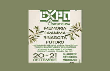 Expo Sicut Oliva