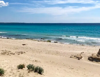 baia-verde-365-giorni-in-puglia