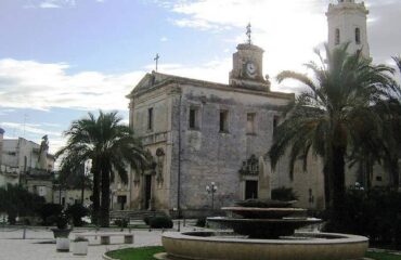 cavallino-365-giorni-in-puglia
