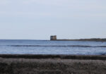 frigole-365-giorni-in-puglia