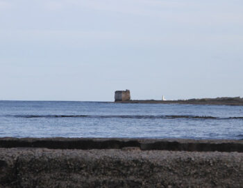frigole-365-giorni-in-puglia