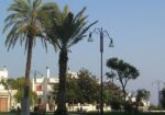 marittima-365-giorni-in-puglia