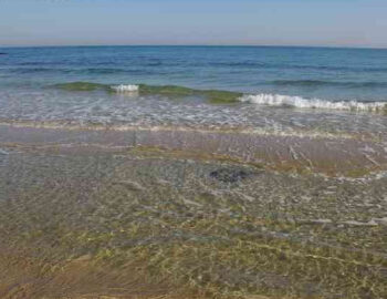 spiaggiabella-365-giorni-in-puglia