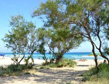 posto-vecchio-365-giorni-in-puglia
