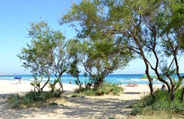 posto-vecchio-365-giorni-in-puglia
