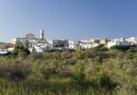 salve-365-giorni-in-puglia