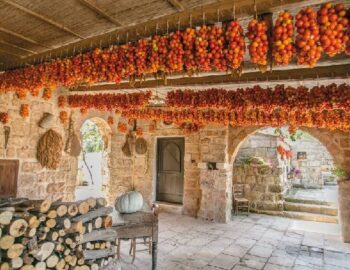 supersano-365-giorni-in-puglia