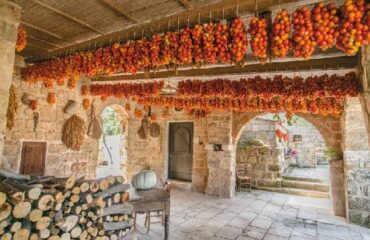 supersano-365-giorni-in-puglia