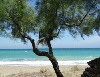 lendinuso-365-giorni-in-puglia