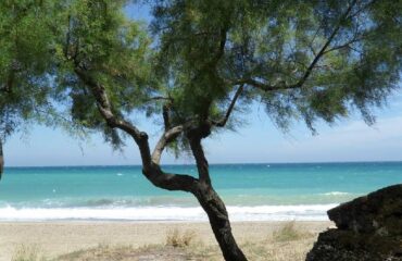 lendinuso-365-giorni-in-puglia