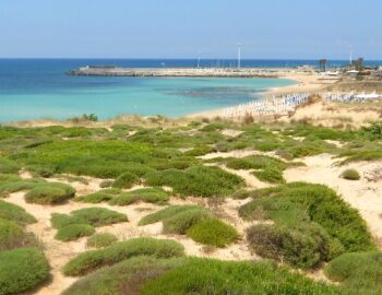 Campomarino-365-giorni-in-puglia