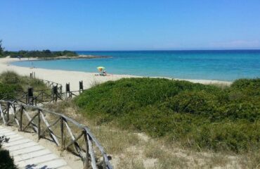 Rosa-Marina-365-giorni-in-puglia
