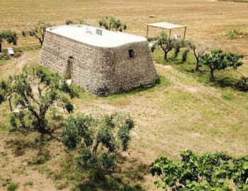San-Barbato-Lamie-365-giorni-in-puglia