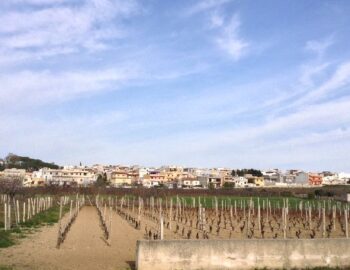 San-Marzano-di-San-Giuseppe-365-giorni-in-puglia