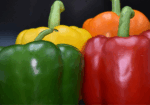 Sagra-del-peperone-a-Vernole-