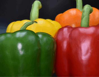 Sagra-del-peperone-a-Vernole-
