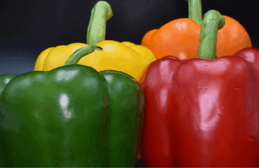 Sagra-del-peperone-a-Vernole-