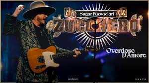 Zucchero