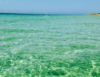 365-giorni-in-Puglia-25-1
