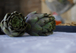 365-giorni-in-Puglia-27