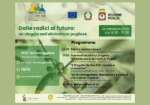 365-giorni-in-Puglia-4
