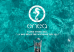 enea-experience